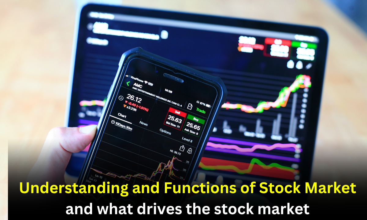 Stock Market